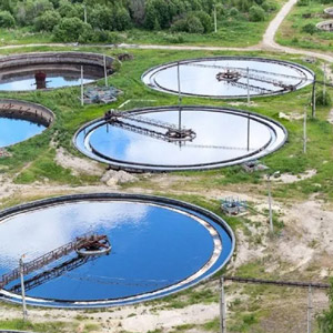 Waste Water Management Enzymes